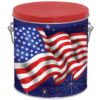 1g Americana Web